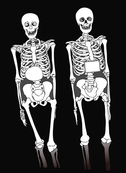 Dos esqueletos —  Fotos de Stock
