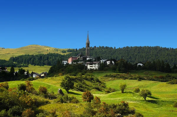 Typische Schweizer Landschaft — Stockfoto