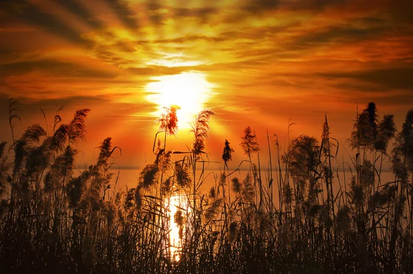 stock image Sunset Lake - Garda Lake - Italy