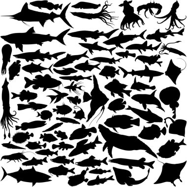 74 Vector Silhouettes of fish clipart