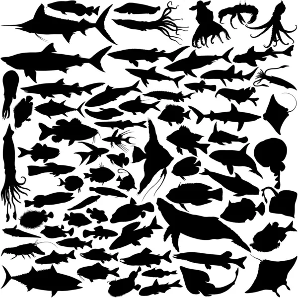 74 Vector Silhouettes of fish — Stock Vector