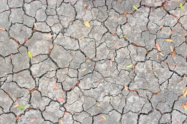 Dry Ground — Stock Photo, Image
