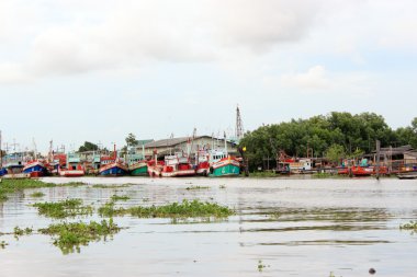 Thai balıkçı tekneleri