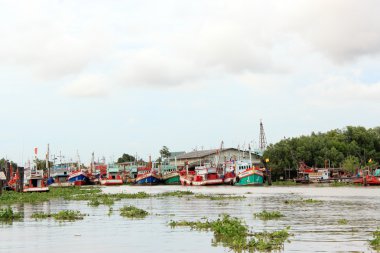 Thai balıkçı tekneleri