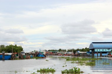 Thai balıkçı tekneleri