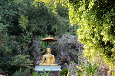 görüntü Buda, Tayland