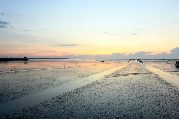 stock image Beach