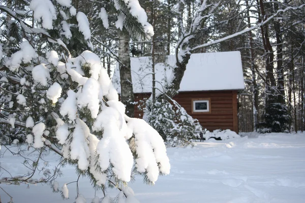 Drewniany dom w lesie zimowym — Zdjęcie stockowe