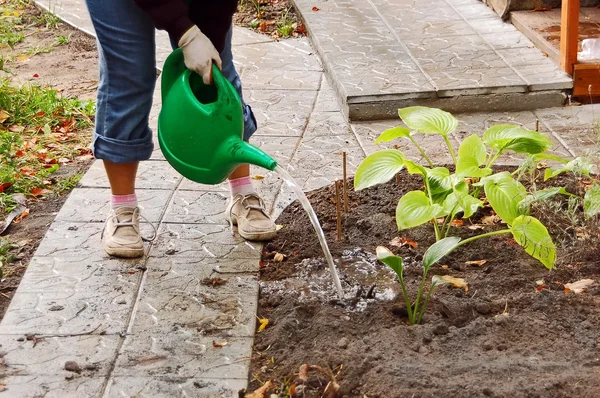 stock image Gardening