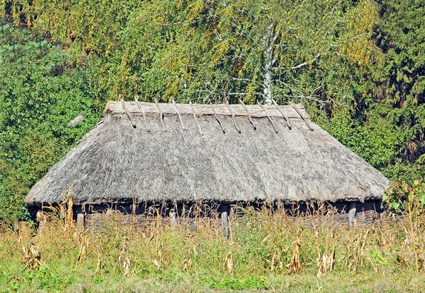 Antiguo granero con techo de paja —  Fotos de Stock