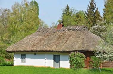 Ancient hut with a straw roof clipart