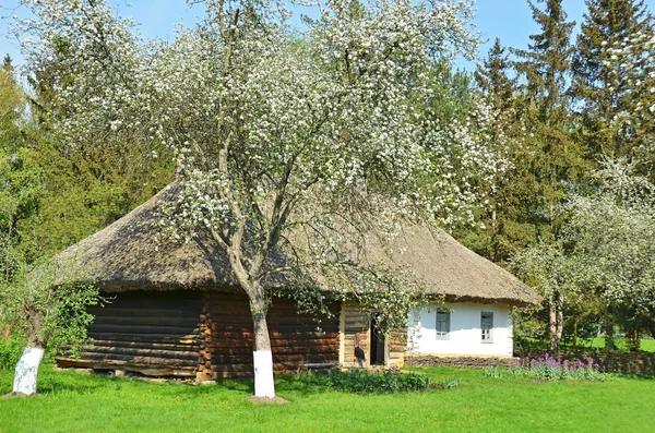 古代のわらの屋根つき小屋 — ストック写真