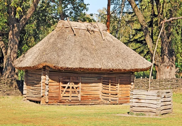 cobertizo de madera en el campo, con techo de paja — Foto de stock