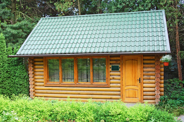 Carpatian hut in forest