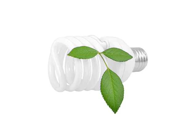 Lâmpada de poupança de energia e planta — Fotografia de Stock