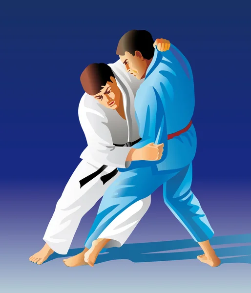 Combatientes de Judo — Archivo Imágenes Vectoriales