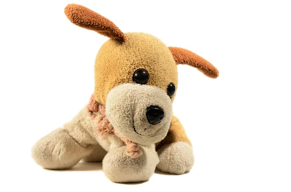 Een kleine speelgoed hond — Stockfoto