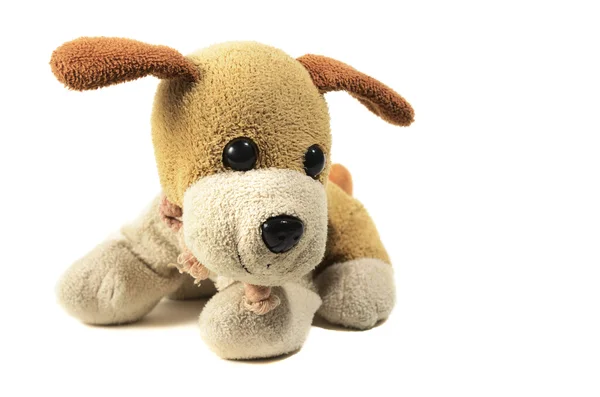 Een kleine speelgoed hond — Stockfoto