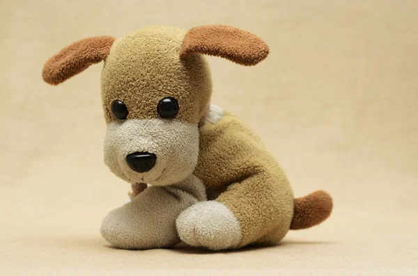 작은 장난감 강아지 — 스톡 사진