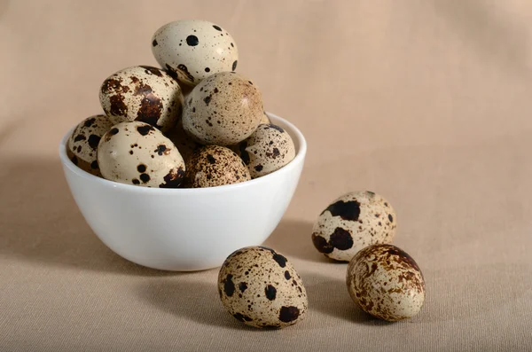 stock image Quail eggs