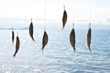 Drying fish on the background sea clipart