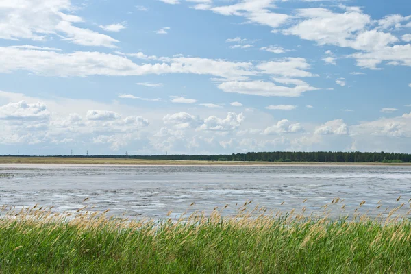 stock image Lonely salty lake