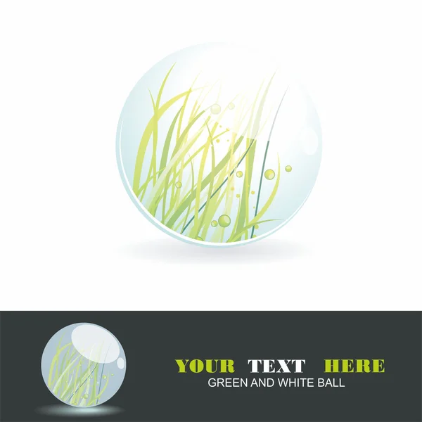 Sfera con erba all'interno, palla vettoriale lucida. Simbolo ecologico. — Vettoriale Stock
