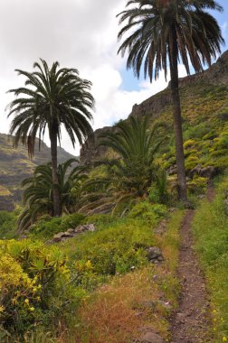 la gomera üzerinde dağlık manzara