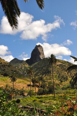 la gomera Adası'nın tropikal peyzaj