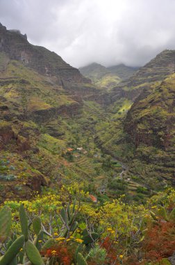 la gomera Adası'nın tropikal peyzaj