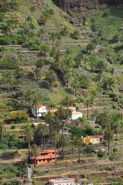 Landscape of la gomera island — Stock Photo, Image