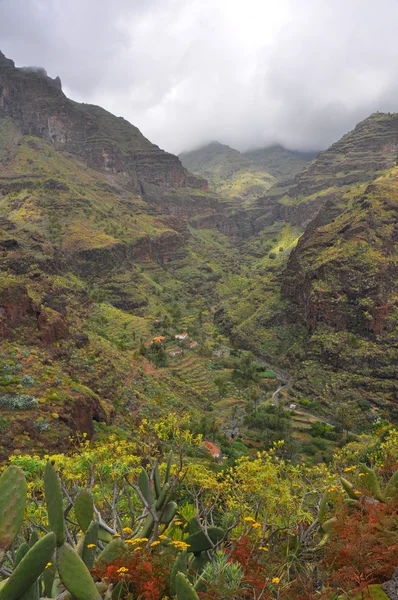 Tropische Landschaft der Insel La Gomera — Stockfoto