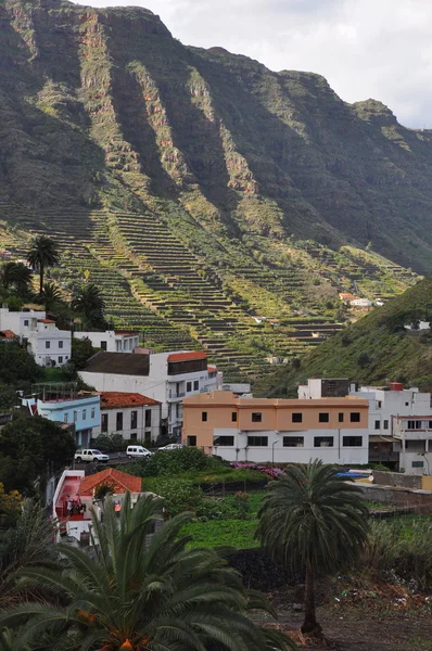Tropiskt landskap på la Gomera — Stockfoto