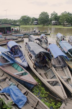 Boats in Amazon river clipart