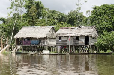 Amazon yerli evleri