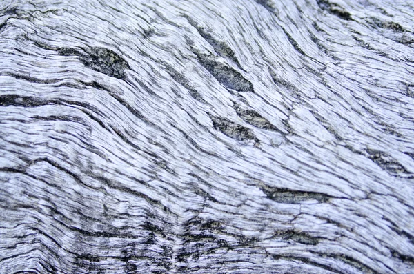 stock image Wood Pattern