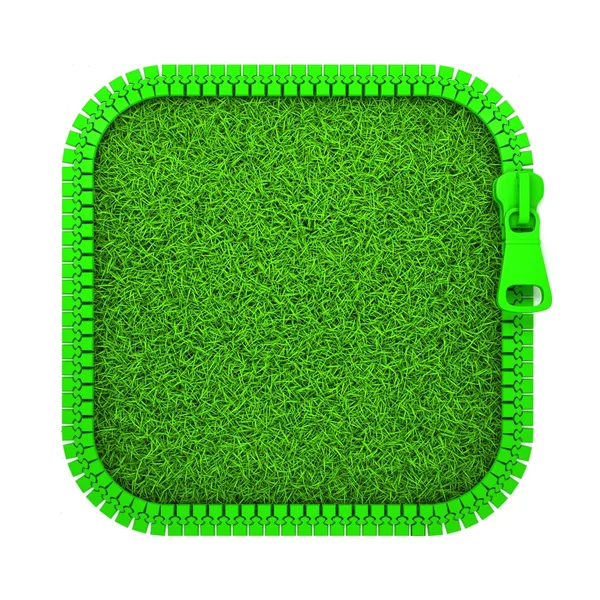 Reißverschluss-Gras — Stockfoto