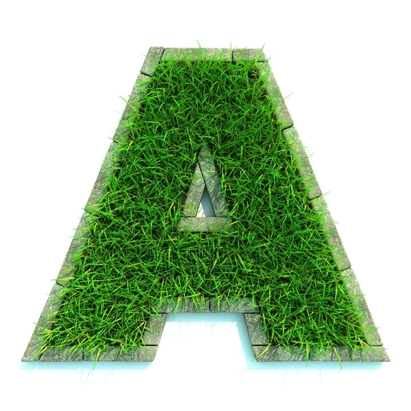Carta de hierba — Foto de Stock