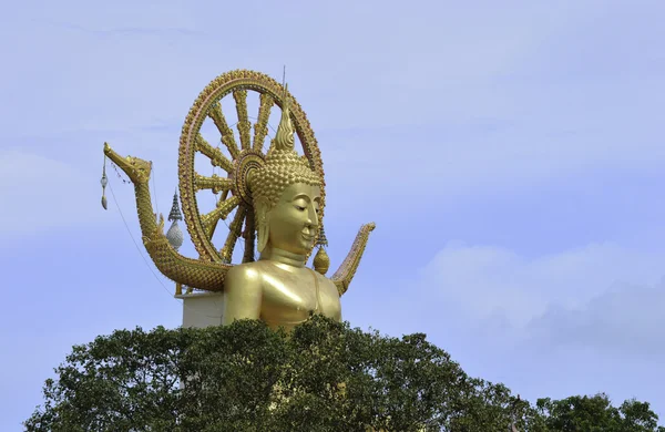Большая будда — стоковое фото