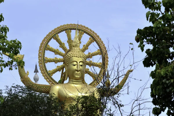 Großer Buddha — Stockfoto