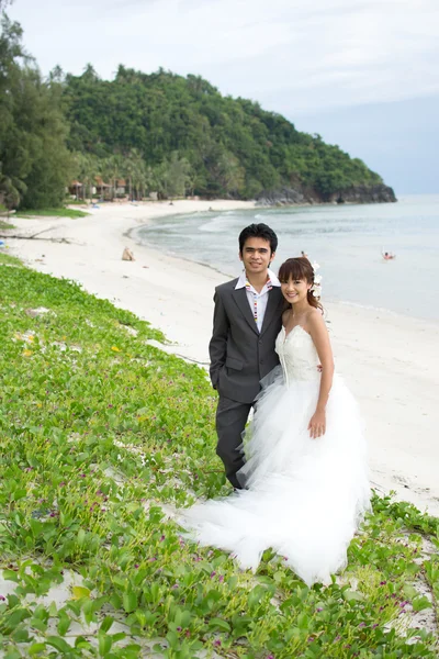 Casamento pré — Fotografia de Stock