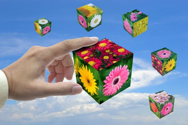 Cubo di fiore — Foto Stock