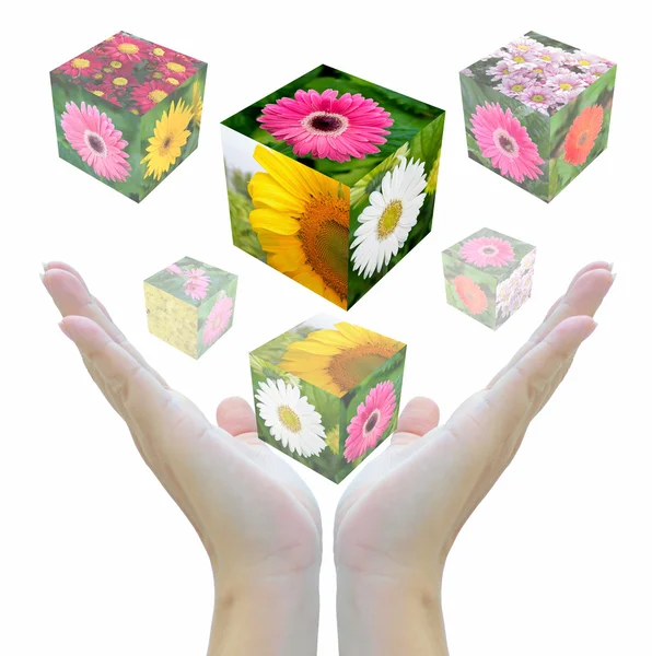 Cubo de flores — Foto de Stock