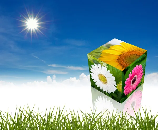 Цветочный куб — стоковое фото