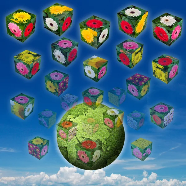 Цветочный куб — стоковое фото