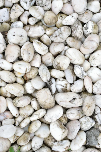 Küçük bir kaya — Stok fotoğraf