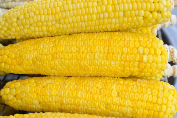 Corn pattern — Stock Photo, Image