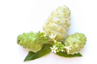 Noni fruit clipart