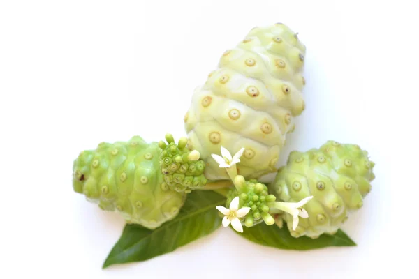 stock image Noni fruit