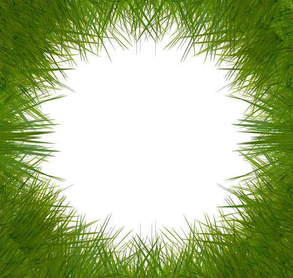 Grass frame — Stock Photo, Image